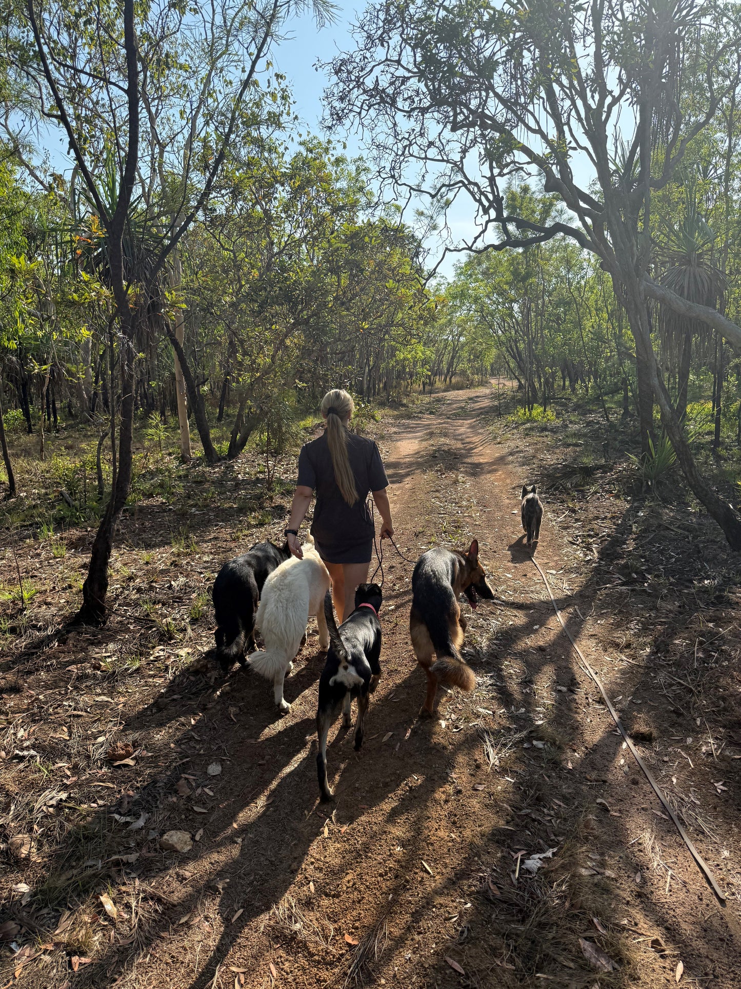 Premium Pack Walking & Training Subscription - Ace Adventures NT