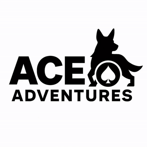 Ace Adventures and Dog Training